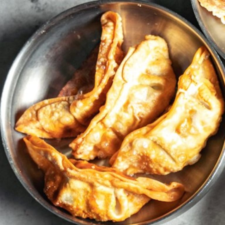 Delicious Gyoza: A Must-Try at Our Restaurant